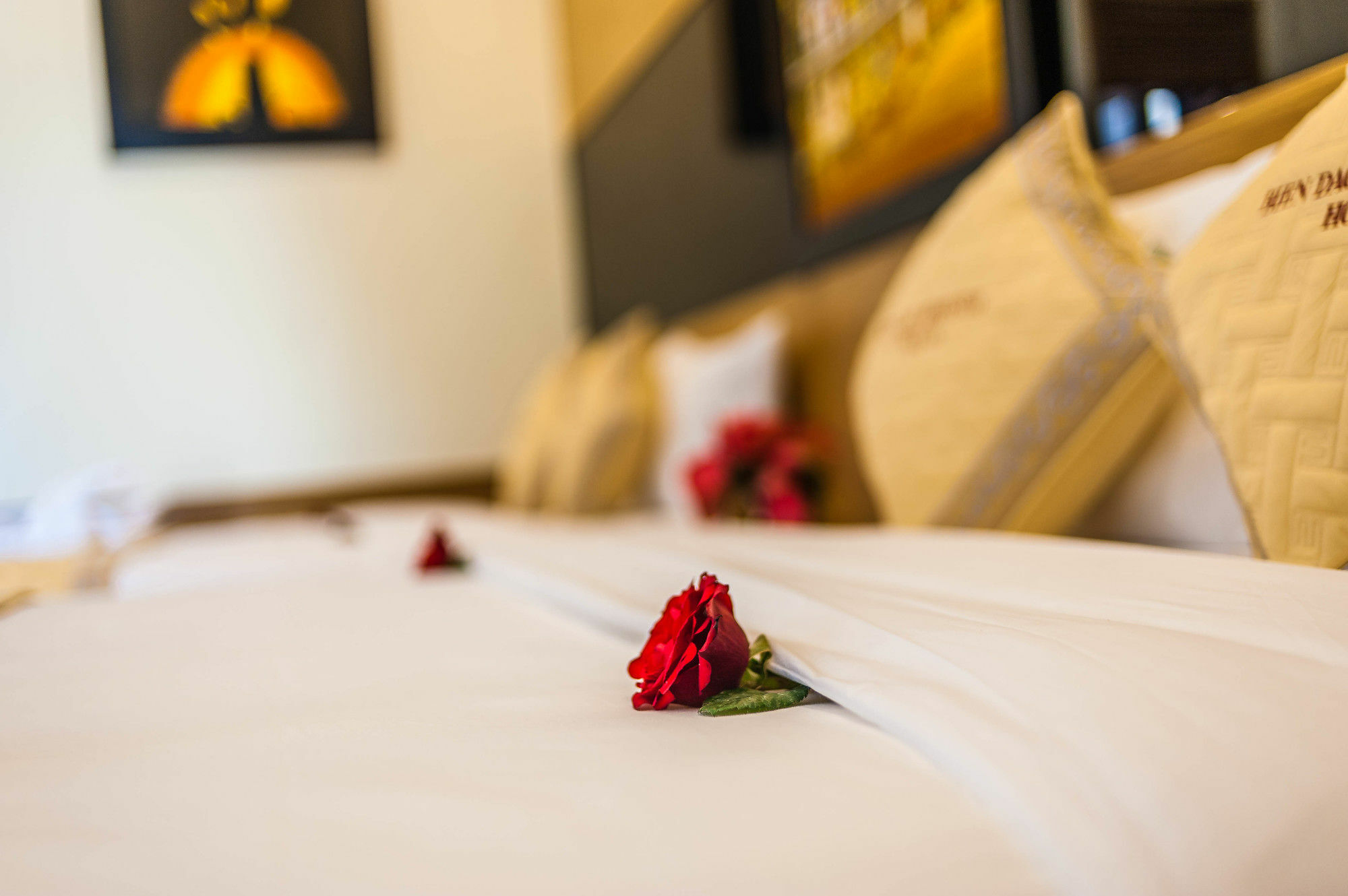 Bien Dao Homestay Хой Ан Екстериор снимка